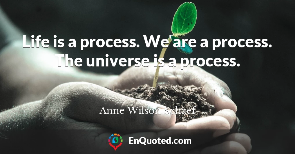 Life is a process. We are a process. The universe is a process.