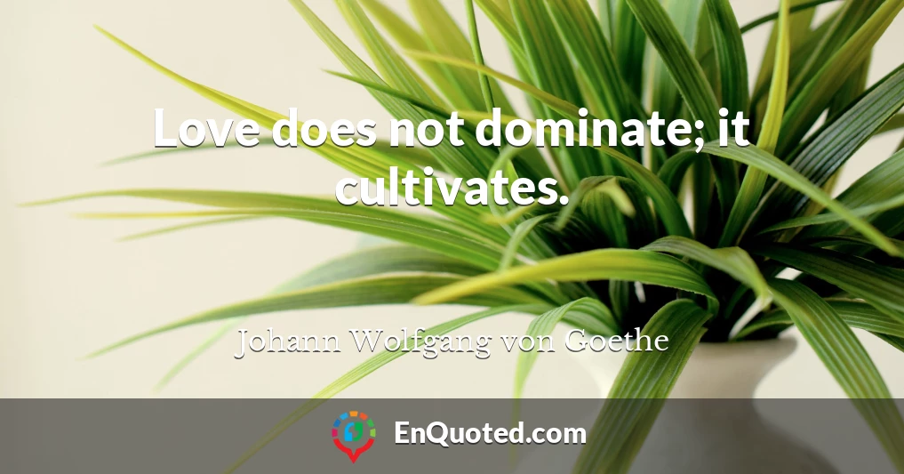 Love does not dominate; it cultivates.
