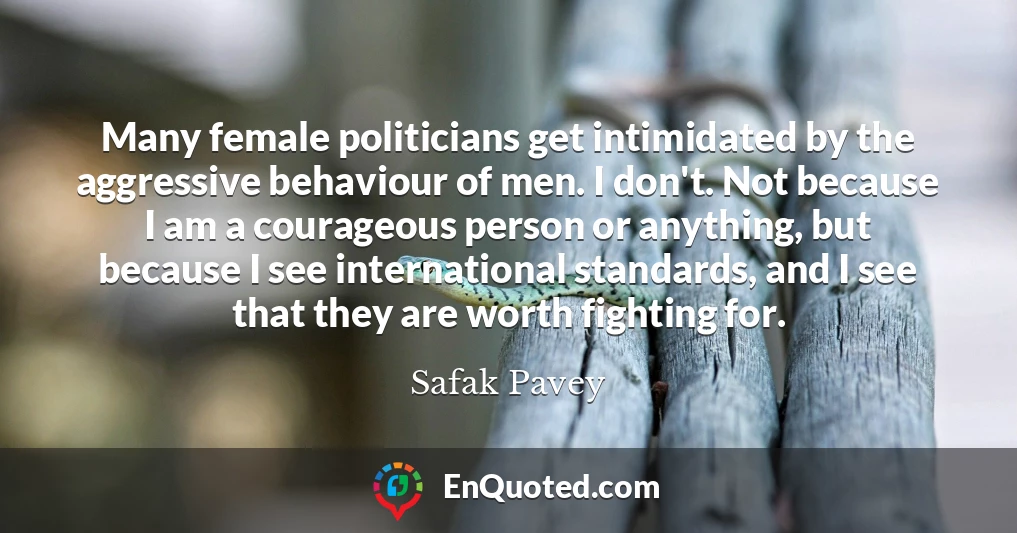 Many female politicians get intimidated by the aggressive behaviour of men. I don't. Not because I am a courageous person or anything, but because I see international standards, and I see that they are worth fighting for.