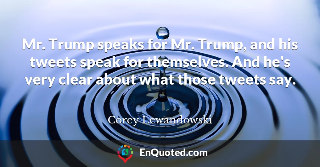 Mr. Trump speaks for Mr. Trump, and his tweets speak for themselves. And he's very clear about what those tweets say.
