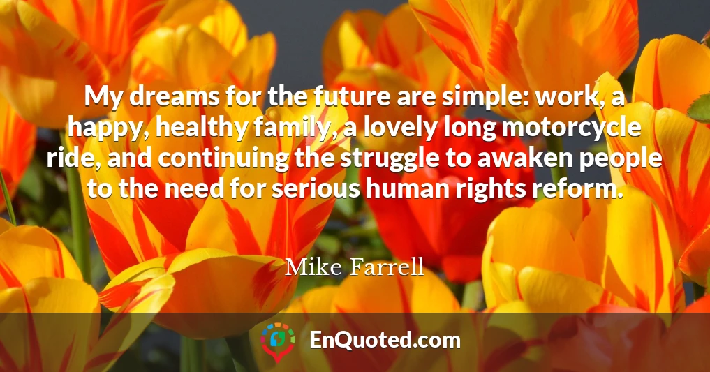 My dreams for the future are simple: work, a happy, healthy family, a lovely long motorcycle ride, and continuing the struggle to awaken people to the need for serious human rights reform.