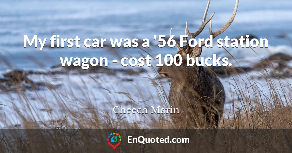 My first car was a '56 Ford station wagon - cost 100 bucks.