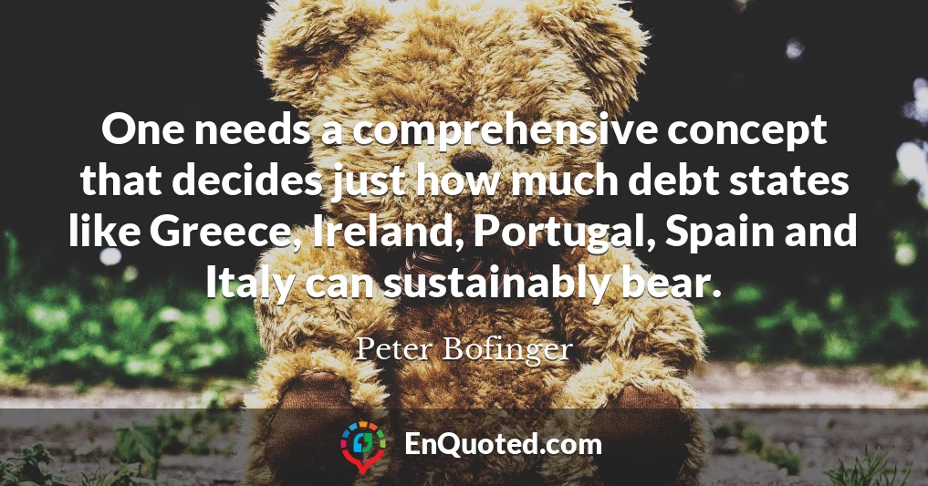 One needs a comprehensive concept that decides just how much debt states like Greece, Ireland, Portugal, Spain and Italy can sustainably bear.