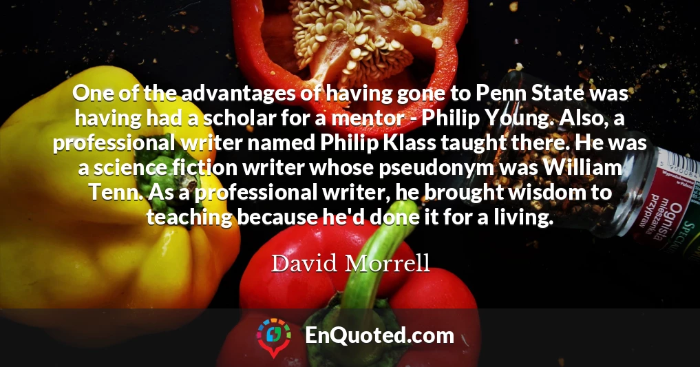 One of the advantages of having gone to Penn State was having had a scholar for a mentor - Philip Young. Also, a professional writer named Philip Klass taught there. He was a science fiction writer whose pseudonym was William Tenn. As a professional writer, he brought wisdom to teaching because he'd done it for a living.