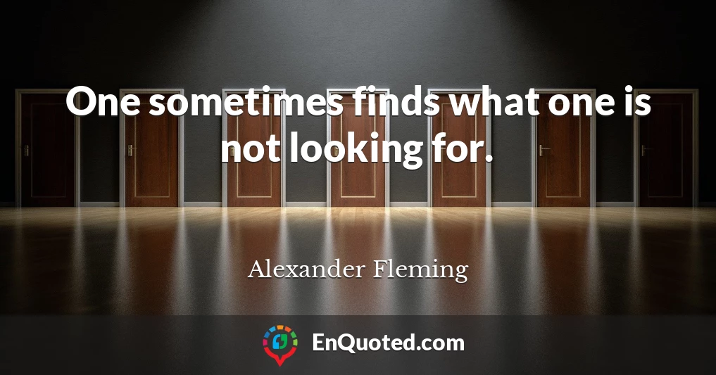 One sometimes finds what one is not looking for.