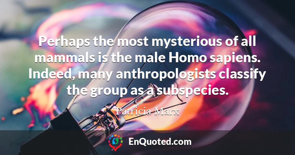 Perhaps the most mysterious of all mammals is the male Homo sapiens. Indeed, many anthropologists classify the group as a subspecies. Perhaps the most mysterious of all mammals is the male Homo sapiens. Indeed, many anthropologists classify the group as a subspecies.