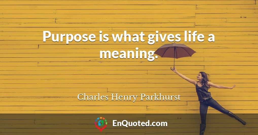 Purpose is what gives life a meaning.