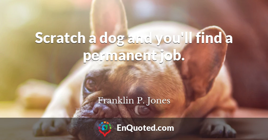 Scratch a dog and you'll find a permanent job.