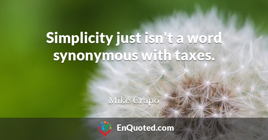 Simplicity just isn't a word synonymous with taxes.