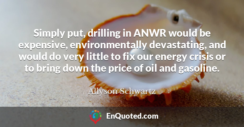 Simply put, drilling in ANWR would be expensive, environmentally devastating, and would do very little to fix our energy crisis or to bring down the price of oil and gasoline. Simply put, drilling in ANWR would be expensive, environmentally devastating, and would do very little to fix our energy crisis or to bring down the price of oil and gasoline.
