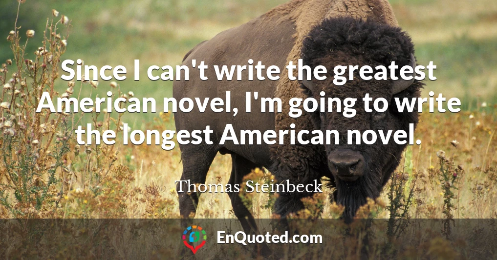 Since I can't write the greatest American novel, I'm going to write the longest American novel.