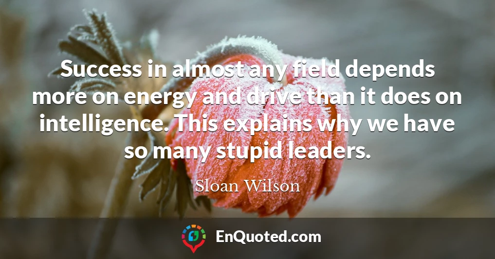 Success in almost any field depends more on energy and drive than it does on intelligence. This explains why we have so many stupid leaders.