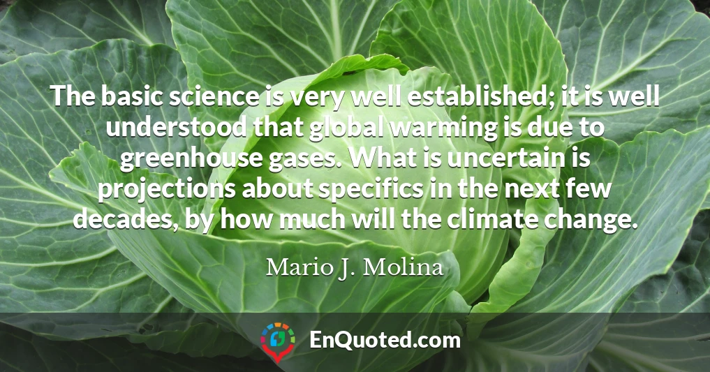 The basic science is very well established; it is well understood that global warming is due to greenhouse gases. What is uncertain is projections about specifics in the next few decades, by how much will the climate change.