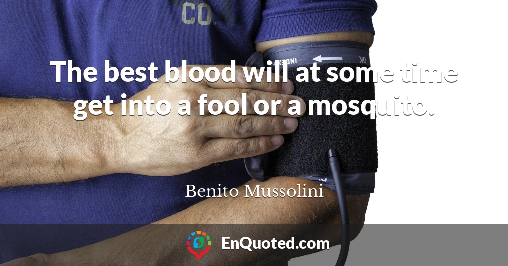 The best blood will at some time get into a fool or a mosquito.