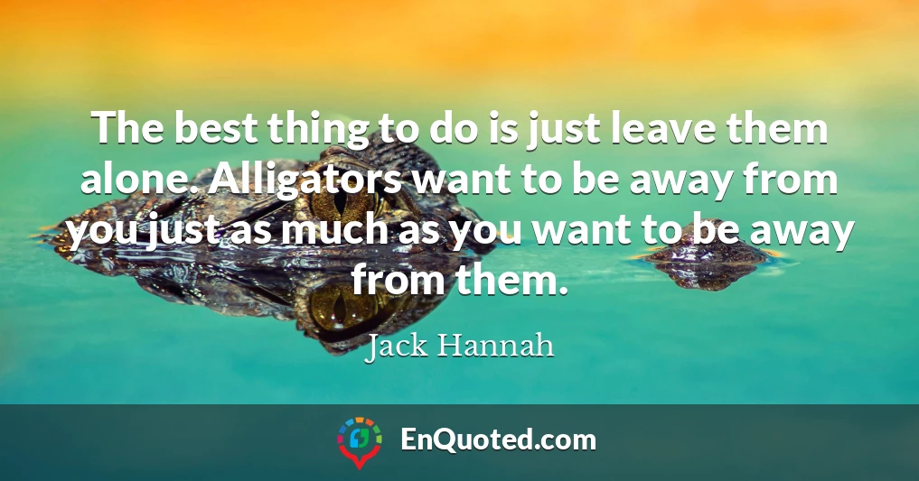 The best thing to do is just leave them alone. Alligators want to be away from you just as much as you want to be away from them.