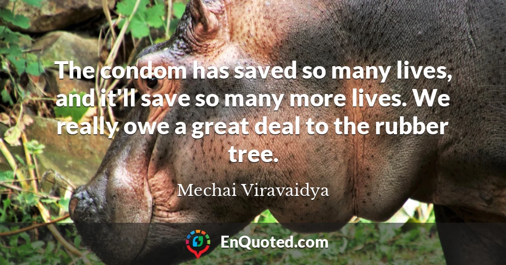 The condom has saved so many lives, and it'll save so many more lives. We really owe a great deal to the rubber tree.