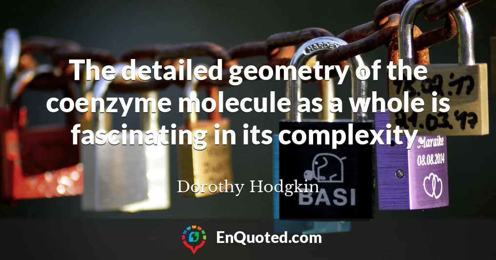 The detailed geometry of the coenzyme molecule as a whole is fascinating in its complexity.