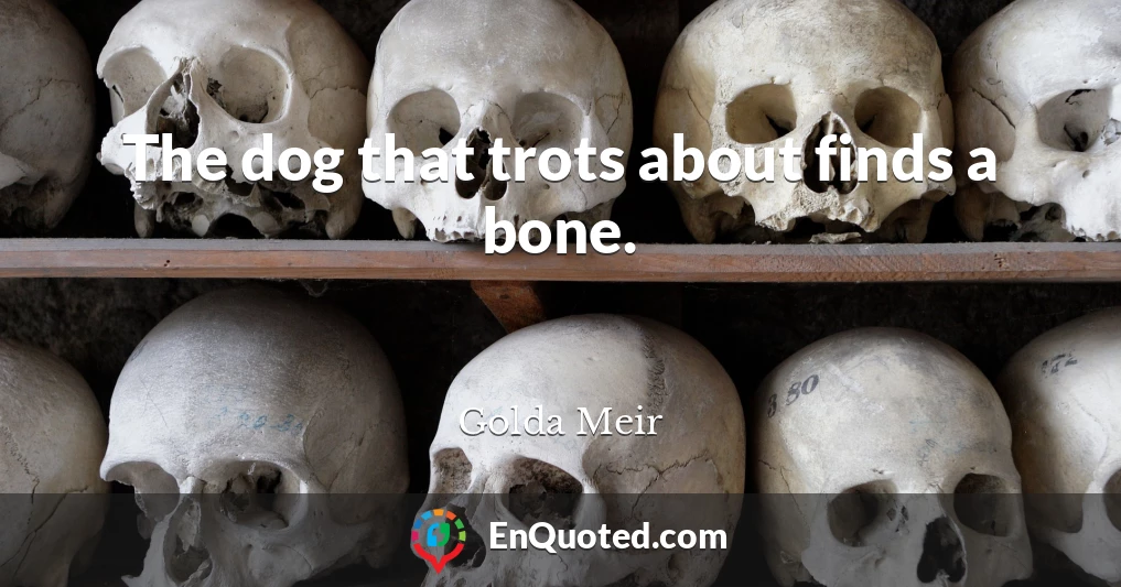 The dog that trots about finds a bone.