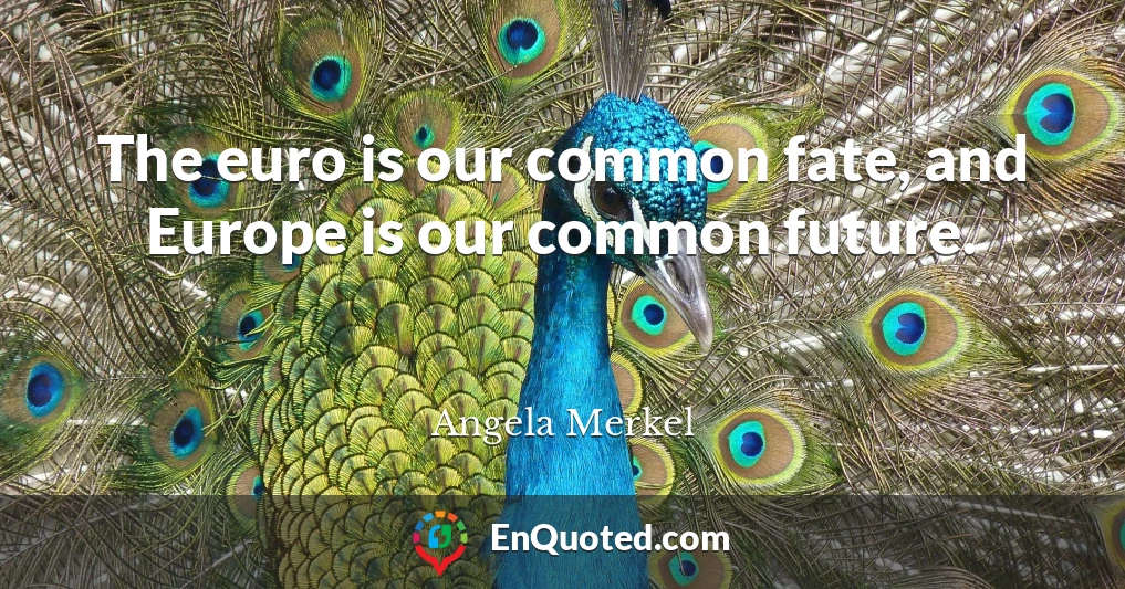 The euro is our common fate, and Europe is our common future.