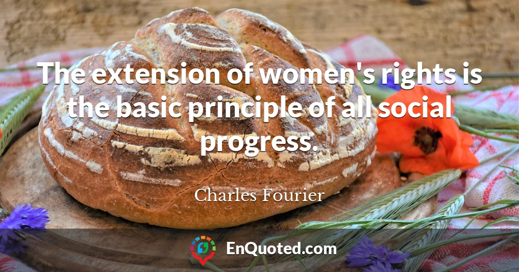The extension of women's rights is the basic principle of all social progress.