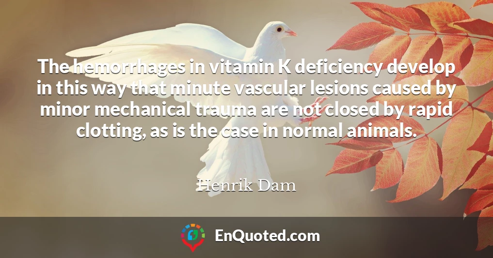 The hemorrhages in vitamin K deficiency develop in this way that minute vascular lesions caused by minor mechanical trauma are not closed by rapid clotting, as is the case in normal animals.