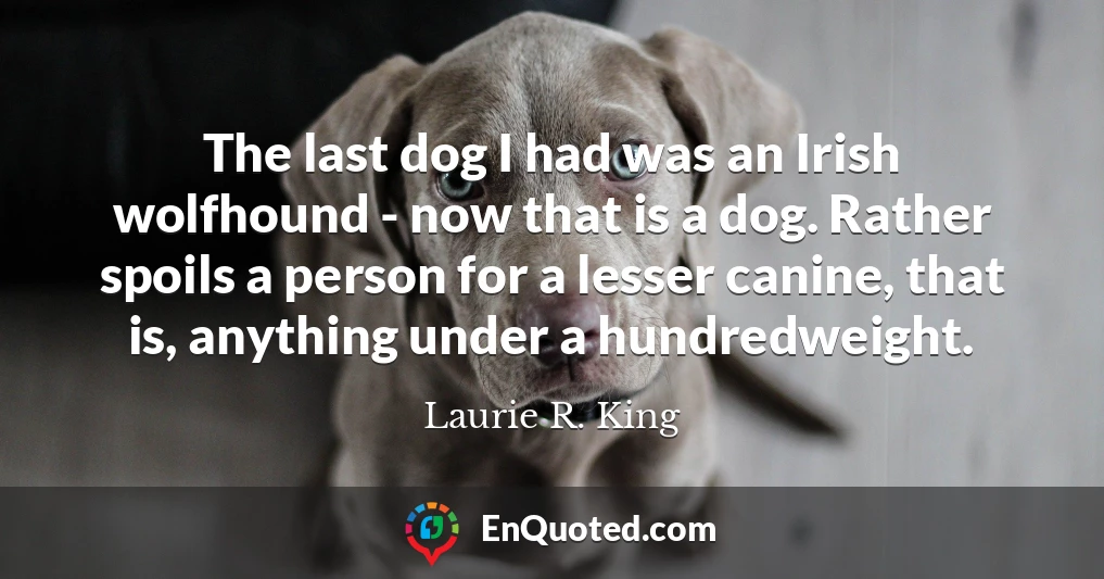 The last dog I had was an Irish wolfhound - now that is a dog. Rather spoils a person for a lesser canine, that is, anything under a hundredweight.