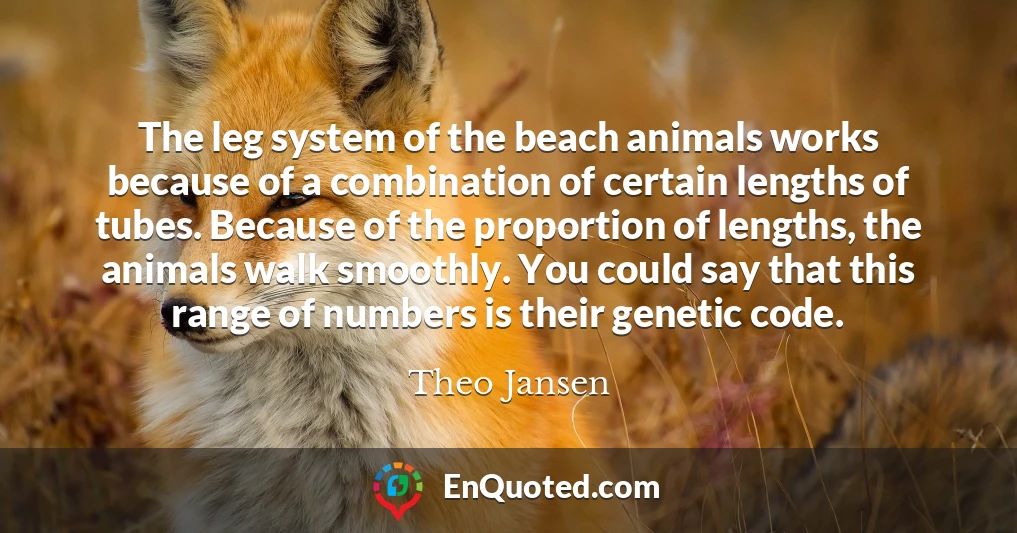 The leg system of the beach animals works because of a combination of certain lengths of tubes. Because of the proportion of lengths, the animals walk smoothly. You could say that this range of numbers is their genetic code.
