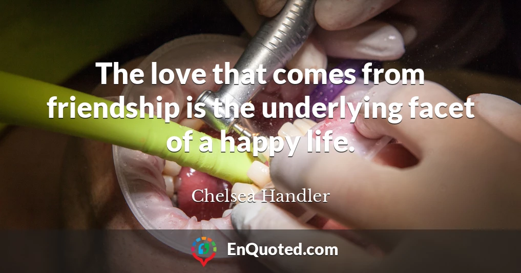 The love that comes from friendship is the underlying facet of a happy life.