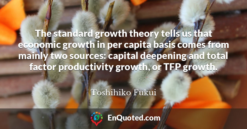 The standard growth theory tells us that economic growth in per capita basis comes from mainly two sources: capital deepening and total factor productivity growth, or TFP growth.