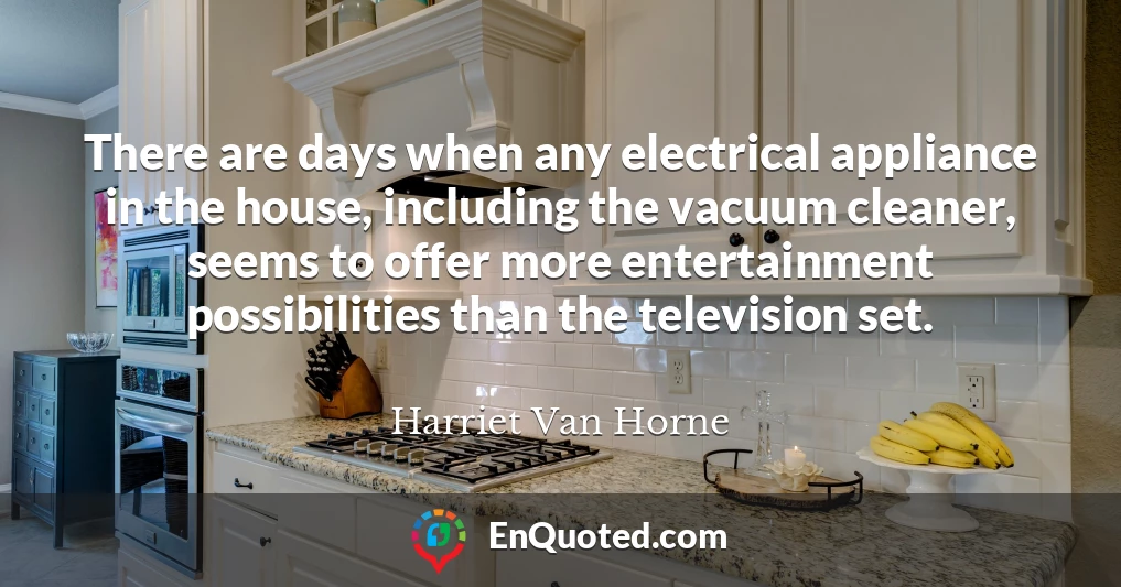 There are days when any electrical appliance in the house, including the vacuum cleaner, seems to offer more entertainment possibilities than the television set.