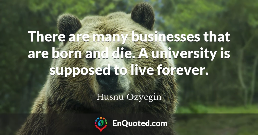 There are many businesses that are born and die. A university is supposed to live forever.