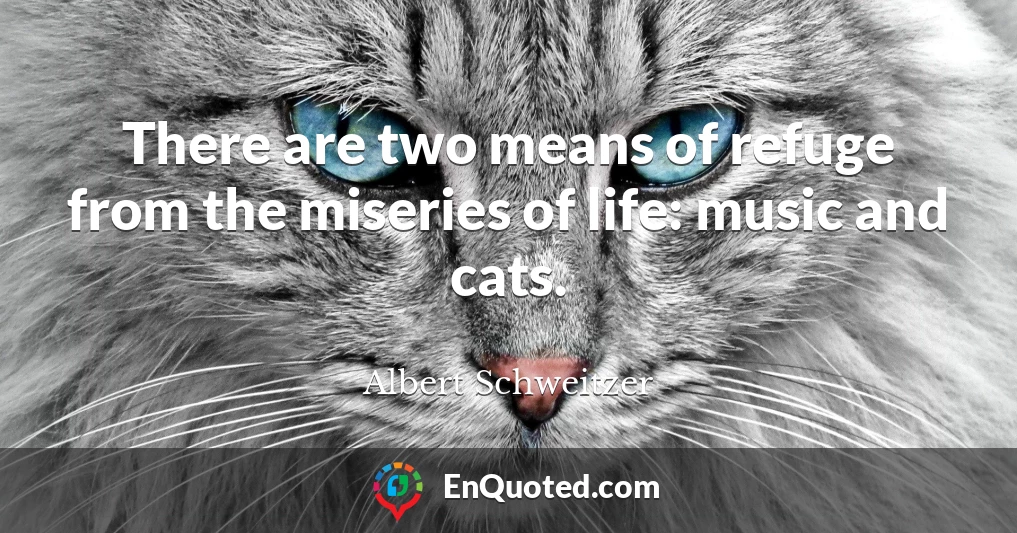 There are two means of refuge from the miseries of life: music and cats.