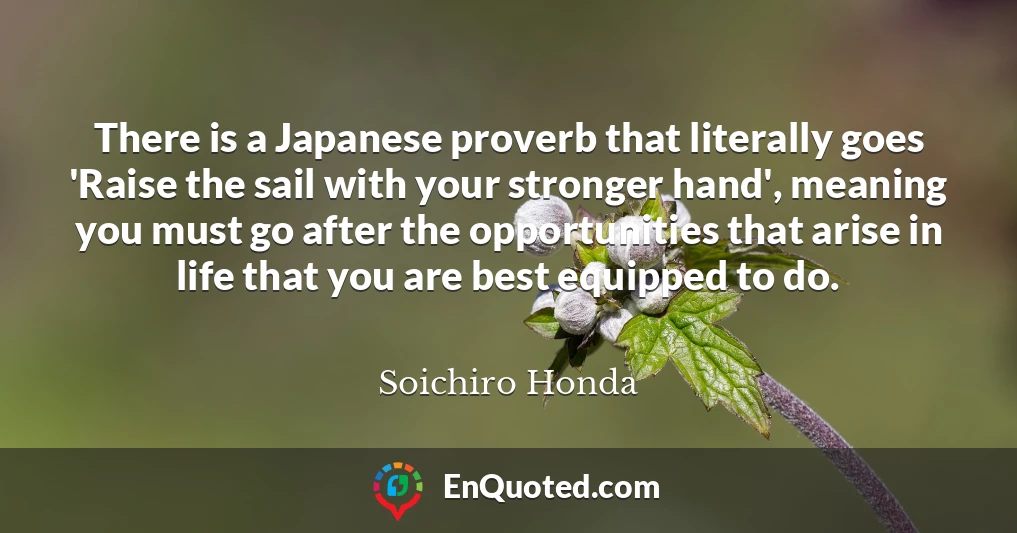 There is a Japanese proverb that literally goes 'Raise the sail with your stronger hand', meaning you must go after the opportunities that arise in life that you are best equipped to do.