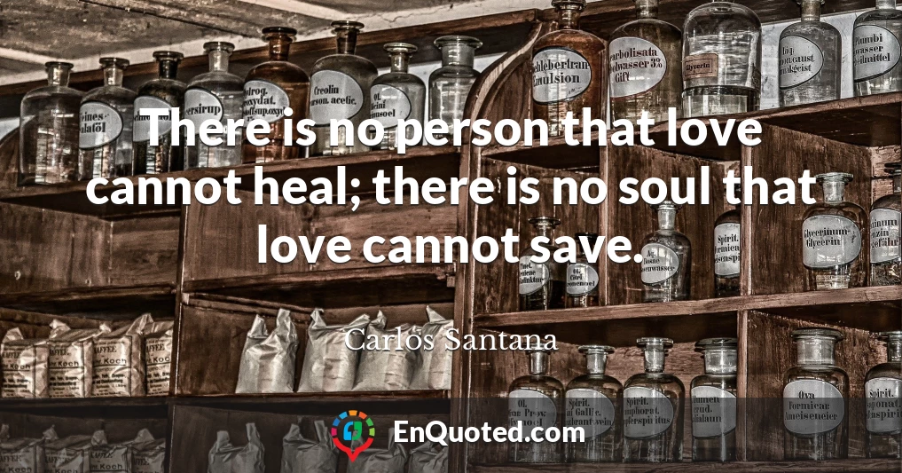 There is no person that love cannot heal; there is no soul that love cannot save.