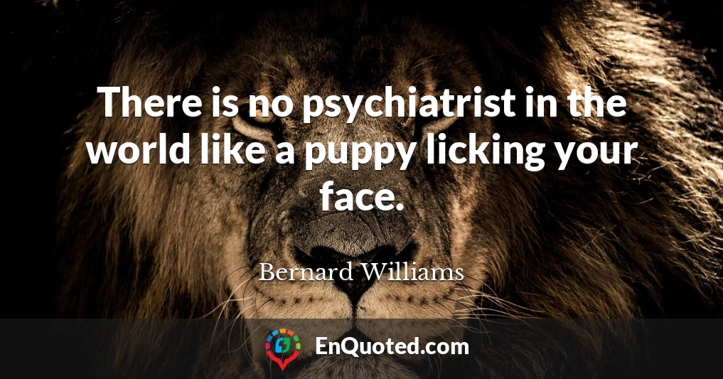 There is no psychiatrist in the world like a puppy licking your face.