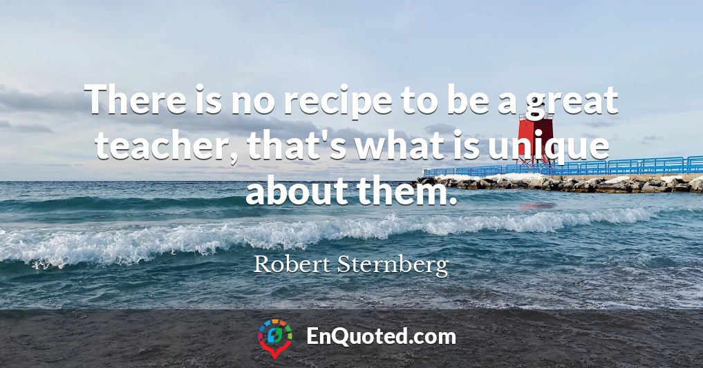 There is no recipe to be a great teacher, that's what is unique about them.