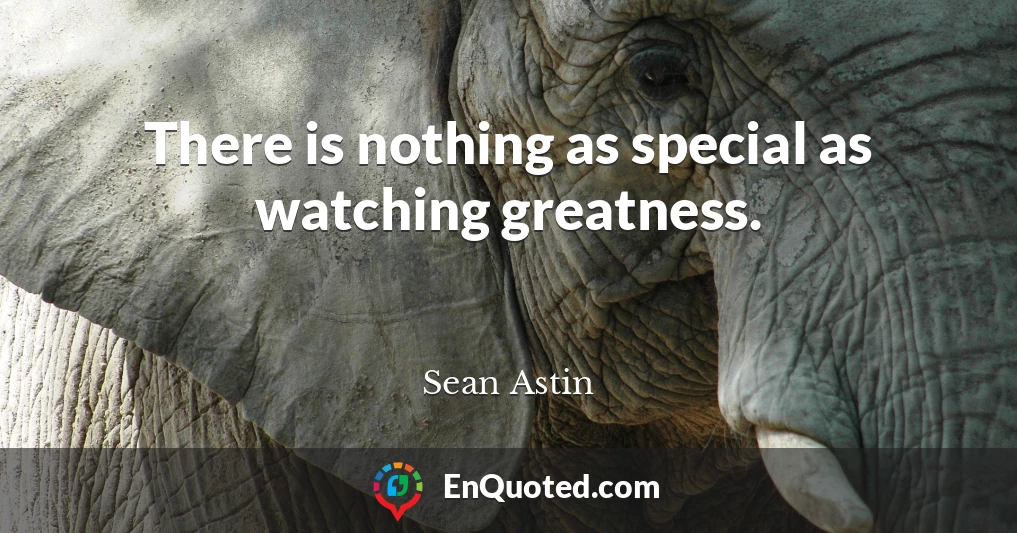 There is nothing as special as watching greatness.