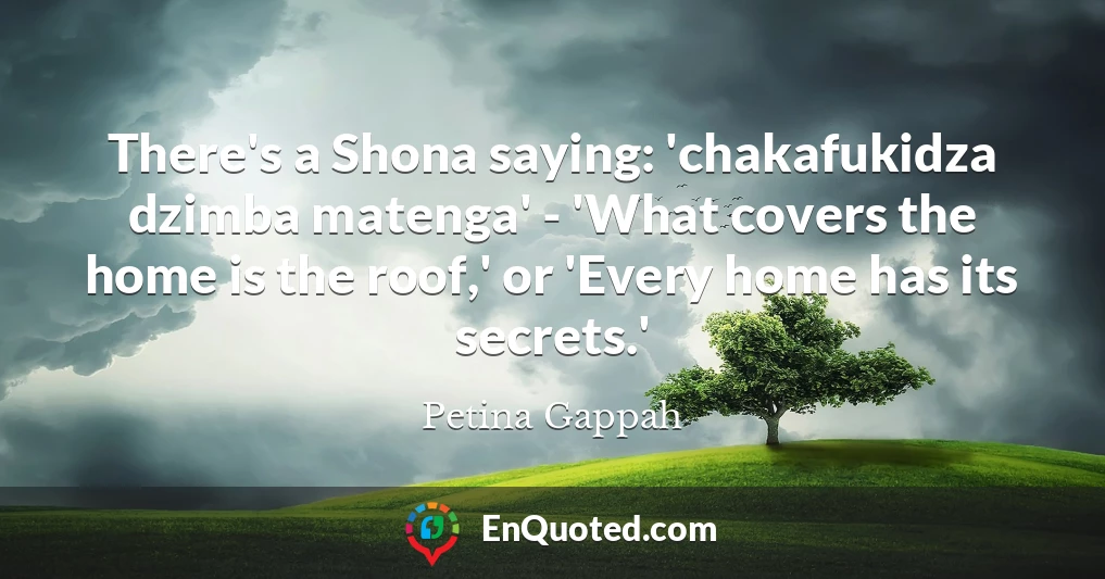 There's a Shona saying: 'chakafukidza dzimba matenga' - 'What covers the home is the roof,' or 'Every home has its secrets.'