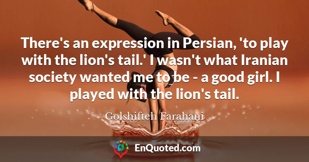 There's an expression in Persian, 'to play with the lion's tail.' I wasn't what Iranian society wanted me to be - a good girl. I played with the lion's tail.