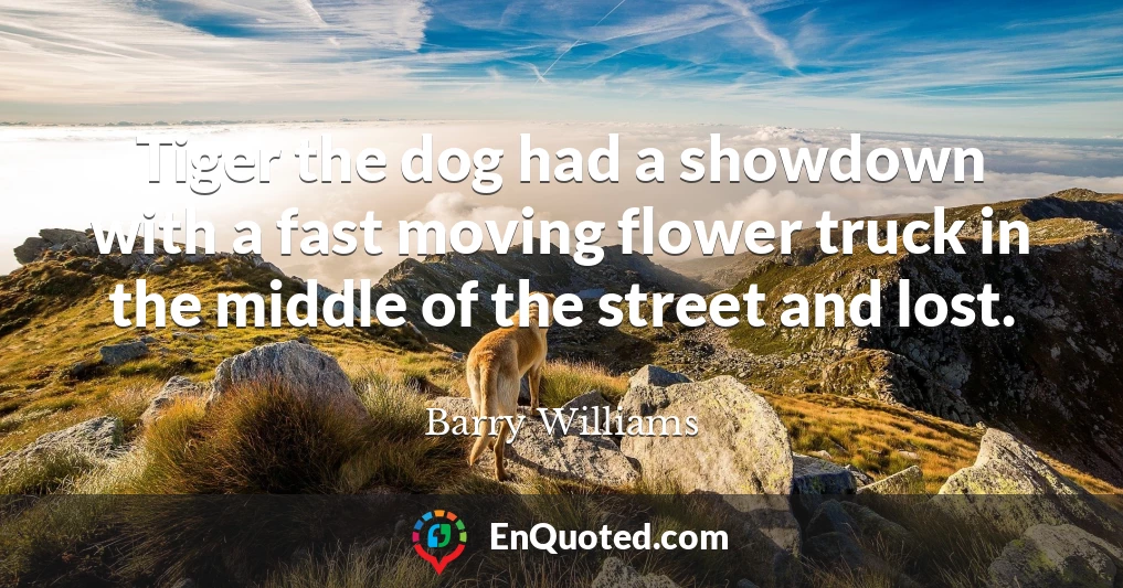 Tiger the dog had a showdown with a fast moving flower truck in the middle of the street and lost.