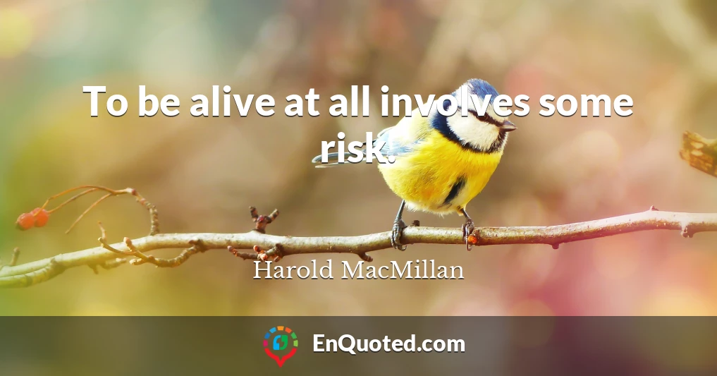 To be alive at all involves some risk.
