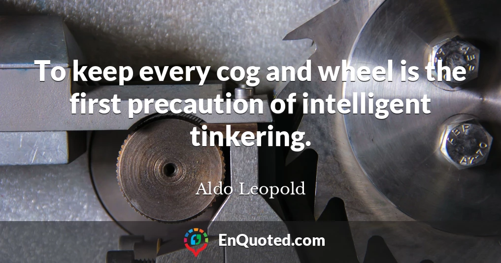 To keep every cog and wheel is the first precaution of intelligent tinkering.