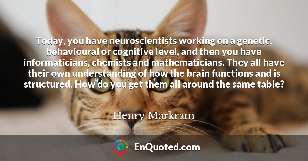 Today, you have neuroscientists working on a genetic, behavioural or cognitive level, and then you have informaticians, chemists and mathematicians. They all have their own understanding of how the brain functions and is structured. How do you get them all around the same table?
