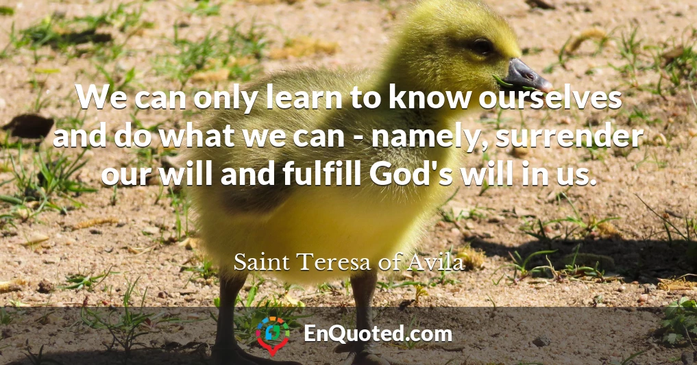 We can only learn to know ourselves and do what we can - namely, surrender our will and fulfill God's will in us.