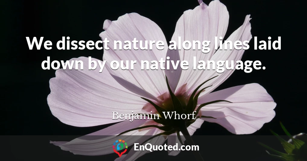 We dissect nature along lines laid down by our native language.