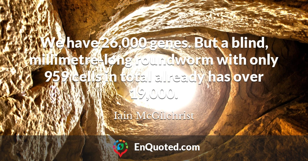 We have 26,000 genes. But a blind, millimetre-long roundworm with only 959 cells in total already has over 19,000.