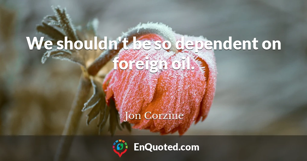 We shouldn't be so dependent on foreign oil.
