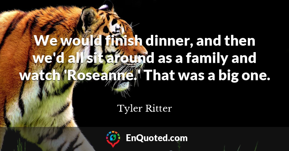 We would finish dinner, and then we'd all sit around as a family and watch 'Roseanne.' That was a big one.