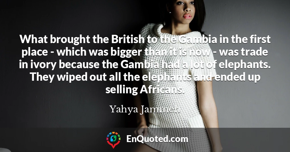 What brought the British to the Gambia in the first place - which was bigger than it is now - was trade in ivory because the Gambia had a lot of elephants. They wiped out all the elephants and ended up selling Africans.