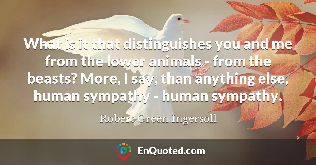 What is it that distinguishes you and me from the lower animals - from the beasts? More, I say, than anything else, human sympathy - human sympathy. What is it that distinguishes you and me from the lower animals - from the beasts? More, I say, than anything else, human sympathy - human sympathy.